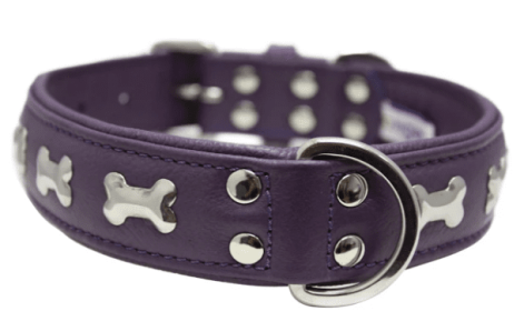 Rotterdam Bones Dog Collar by Angel (color/size: 24" X 1.25" , Orchid Purple)