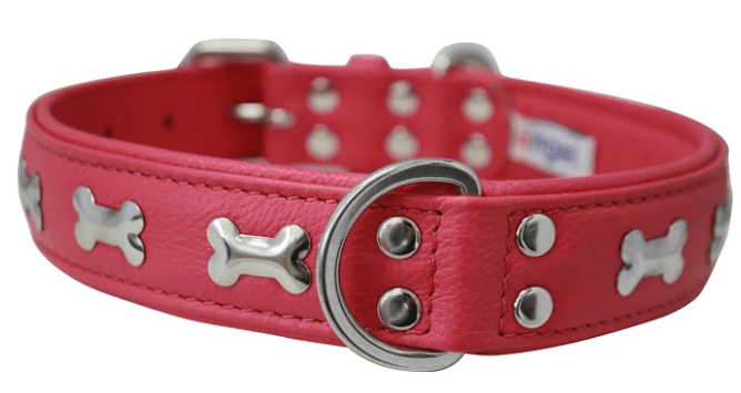 Rotterdam Bones Dog Collar by Angel (color/size: 24" X 1.25" , Hot Pink)