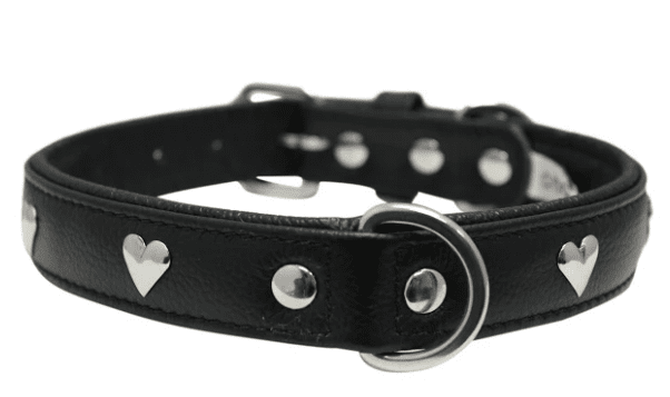 Rotterdam Hearts Dog Collar by Angel Midnight Black (size: 22" X 1")