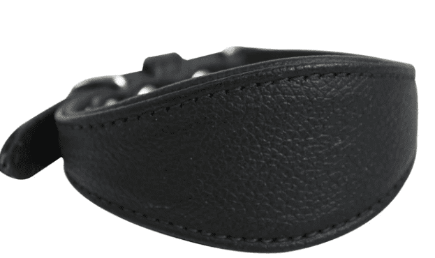 Hound Plain Collar by Angel  Midnight Black (size: 14" X 1.75")