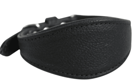 Hound Plain Collar by Angel  Midnight Black (size: 14" X 1.75")
