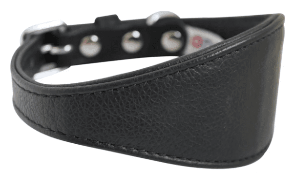 Hound Plain Collar by Angel  Midnight Black (size: 16" X 2.25")