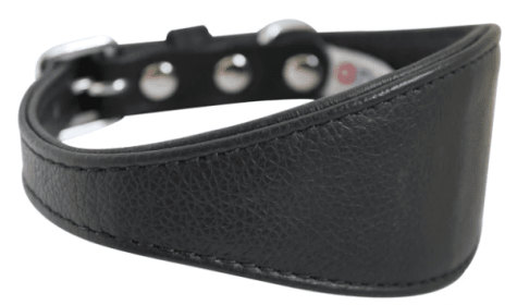 Hound Plain Collar by Angel  Midnight Black (size: 16" X 2.25")