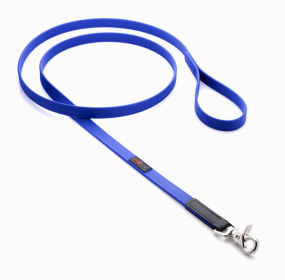 Boss Regular Leash For Dogs (Color: Blue, size: 3/4"x4')