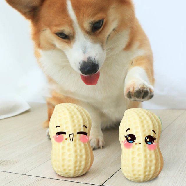 Funny Pet Dog Squeaky Rubber Peanut Clean Tooth Chew Toy (Num: 1pcs)