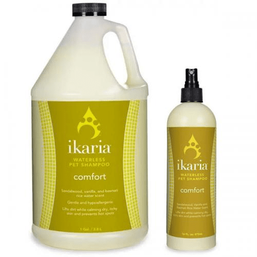 IK Shampoo Gallon (Type: Waterless Comfort)